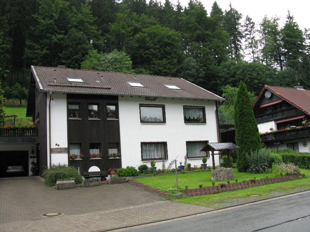 Ferienwohnung Gohlke Kamschlacken Habitación foto